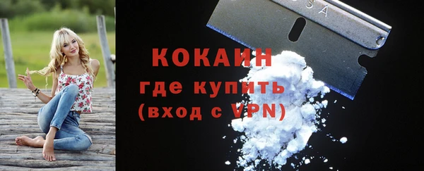 ПСИЛОЦИБИНОВЫЕ ГРИБЫ Костерёво