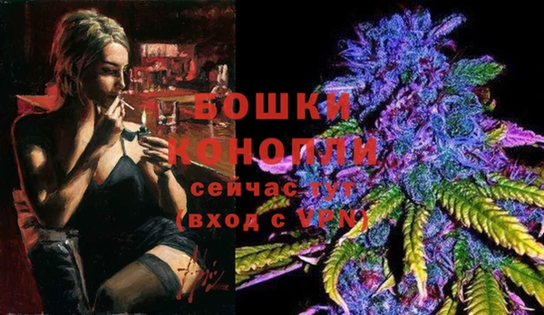 PSILOCYBIN Михайловск