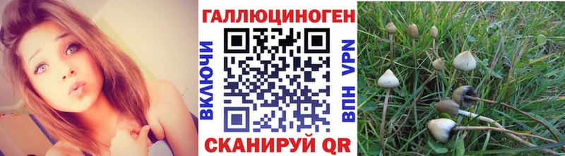 Псилоцибиновые грибы мицелий Ельня